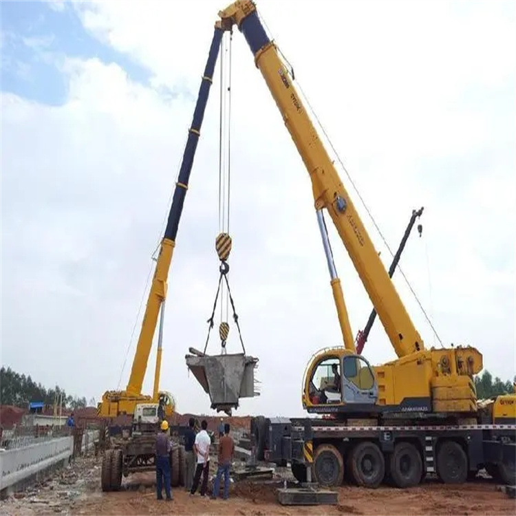 宜章小型吊机出租电话|厂房设备吊装方案|24小时服务覆盖